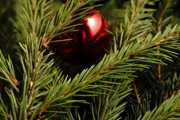 Kerstspeelgoedballon Rond Kerstboom Dim Het Licht Sluiten — Stockfoto