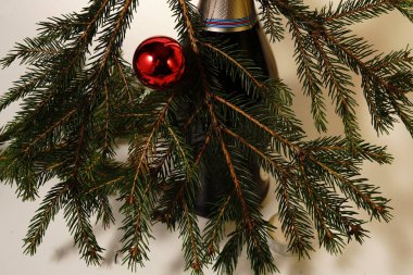 Bir şişe şampanya ve beyaz arka planda bir Noel ağacı dalı. İzole et.