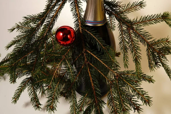 Bottle Champagne Christmas Tree Branch White Background Isolate — Stock Photo, Image