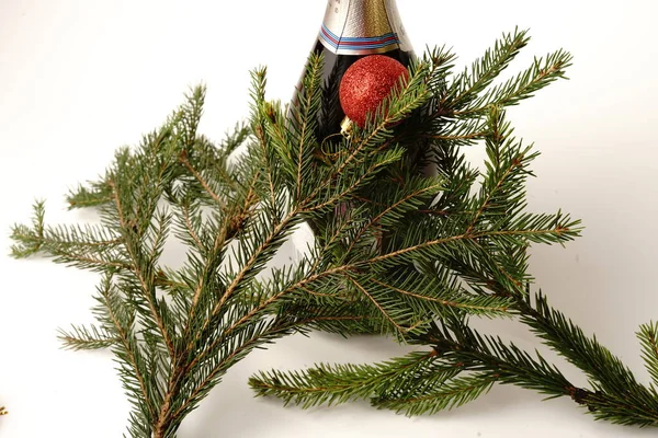 Bottle Champagne Christmas Tree Branch White Background Isolate — Stock Photo, Image