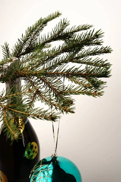 Bottle Champagne Christmas Tree Branch Isolate — Stock Photo, Image