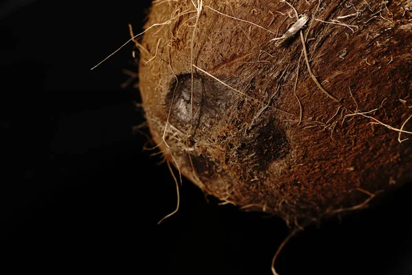 Un coco entero sobre un fondo negro. La luz era tenue. — Foto de Stock