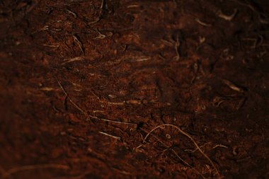 Hindistan cevizinin dokusu birbirine çok yakın..