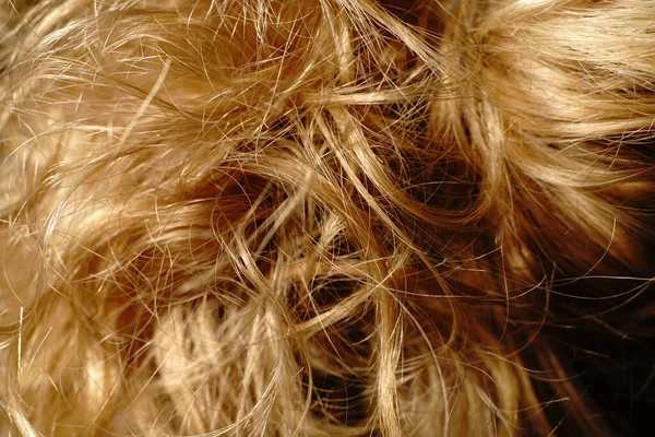 Blondynki kręcone włosy. Zadbane włosy. Zbliżenie — Zdjęcie stockowe
