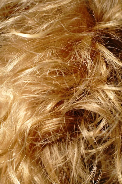 Sarışın kızlar kıvırcık saçlı. Saçları bakımlı. Yakın çekim. — Stok fotoğraf