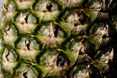 Yeşil ve sarı bir ananasın dokusu. Yatay olarak