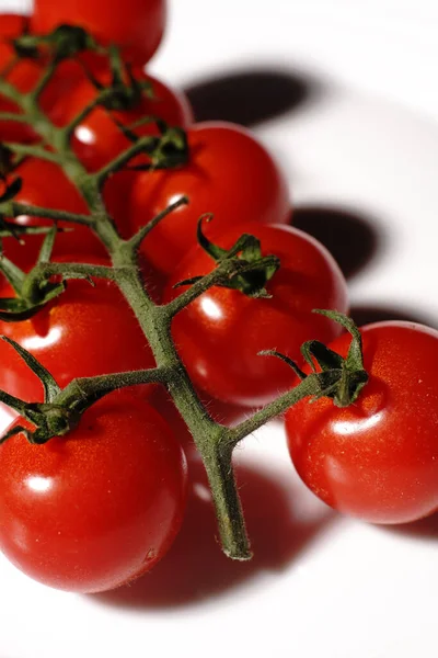 흰 접시에 있는 나뭇가지에 작은 빨간 토마토가 있습니다. 지구의 영양 섭취. — 스톡 사진
