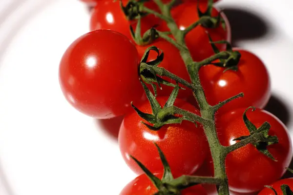 Small red tomatoes on a branch on a white plate. Dietary nutrition. — Stock Photo, Image