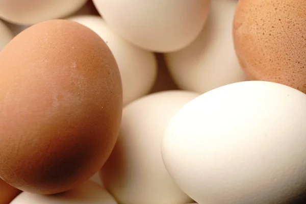 很多白色和褐色的鸡蛋。包扎 — 图库照片