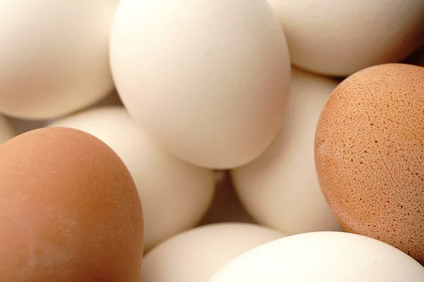 很多白色和褐色的鸡蛋。包扎 — 图库照片