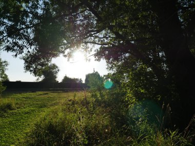Doğa. Yeşil çayır ve parlak güneşin parladığı ağaçlar. Yaz