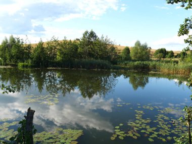 Göl ve ağaçlarla dolu yaz manzarası. Parlak