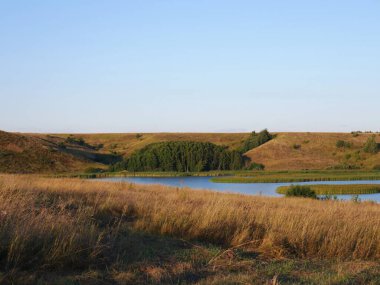 Uzakta büyüyen balıklar için bir gölet. Yaz