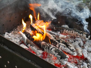 Güneşli bir yaz gününde doğada barbekü
