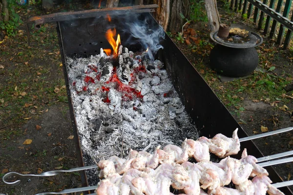 Güneşli bir yaz gününde doğada barbekü — Stok fotoğraf