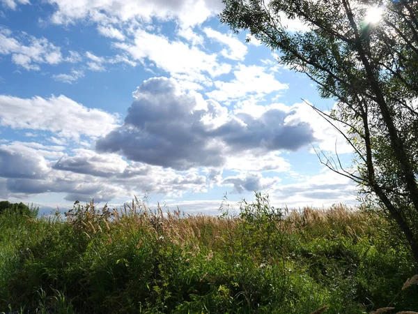 Blå himmel och vita moln. Massor av grönt gräs och träd. Sommar — Stockfoto