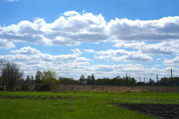 Zelená tráva a modrá obloha s bílými mraky. Jasnej den. Světlý obrázek — Stock fotografie