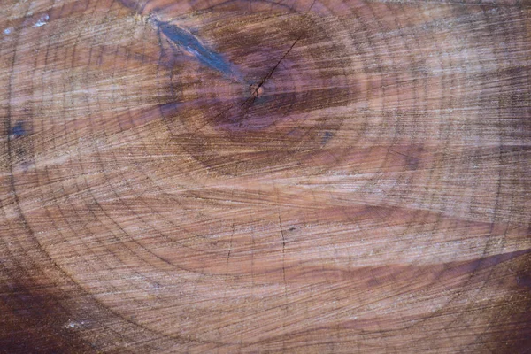 Rdzeń ściętego starego drewna ze specjalnym wzorem. Zbliżenie — Zdjęcie stockowe