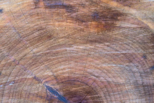 Rdzeń ściętego starego drewna ze specjalnym wzorem. Zbliżenie — Zdjęcie stockowe