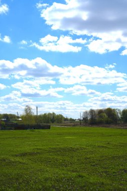 Yeşil çimenler ve beyaz bulutlu mavi bir gökyüzü. Mükemmel manzara. Dikey enstantane