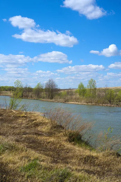 Våren. En flodstrand med bränt gräs och en blå himmel med vita moln. Vertikal ögonblicksbild. — Stockfoto