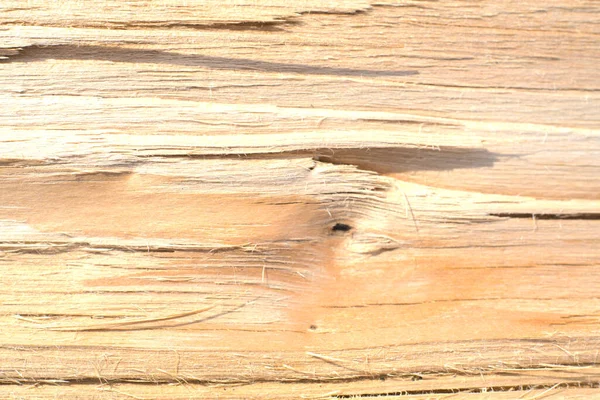 La textura del interior de un árbol cortado por la mitad. Primer plano. — Foto de Stock