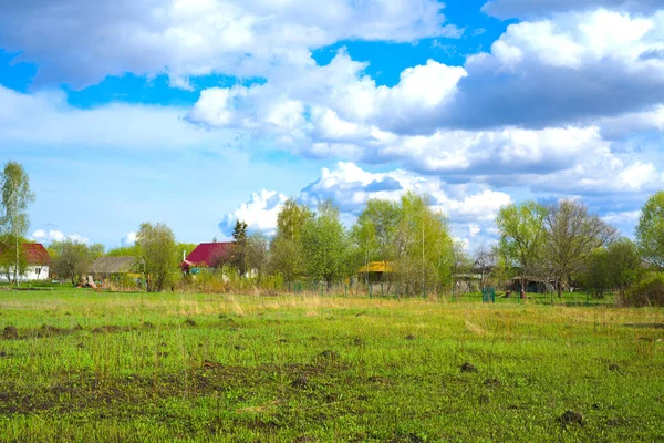 Ett fält av grönt gräs och ett träd. — Stockfoto