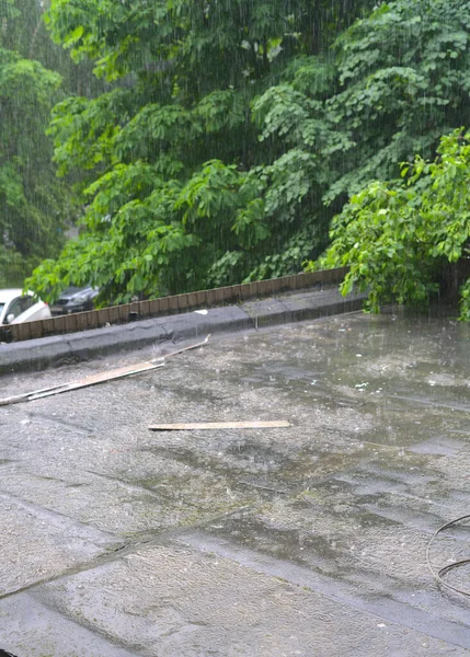 På sommaren regnar det i staden. Regndroppar och gröna träd syns — Stockfoto
