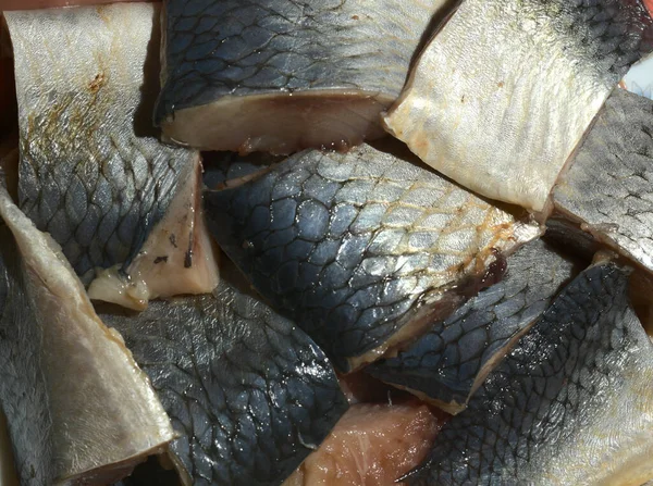Pieces of fat herring in butter closeup. —  Fotos de Stock