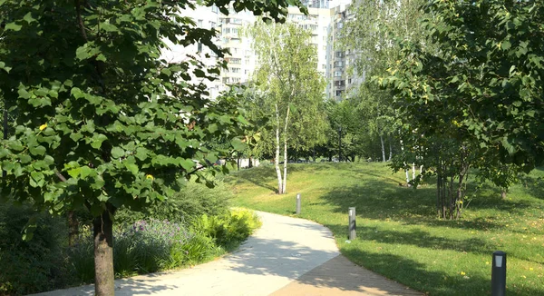 Um parque no centro da cidade com grama verde e árvores. Um caminho largo é visível — Fotografia de Stock