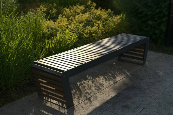 夏の朝の公園のベンチ. — ストック写真