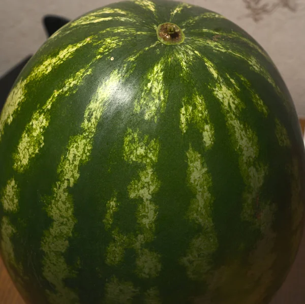 Ripe large green watermelon close — Stock Photo, Image