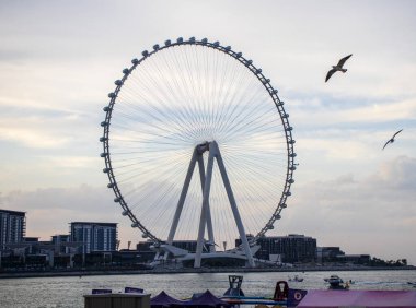 Dubai, Dubai 'deki Meraas yakınlarında bulunan dünyanın en uzun dönme dolabı Ain Dubai.