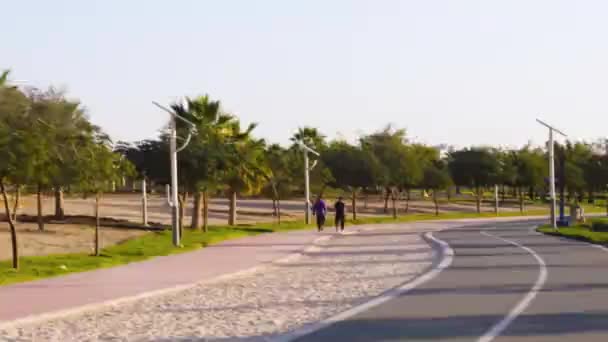 Jogging Cyklistické Stezky Warqa Parku Dubaj Sae Brzy Ráno Lampa — Stock video