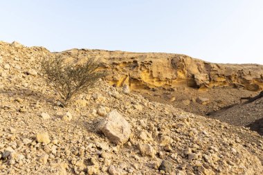 Şeriat Emirliğinin Buhais bölgesinde Jebels olarak bilinen 93 milyon yıllık kaya oluşumları,