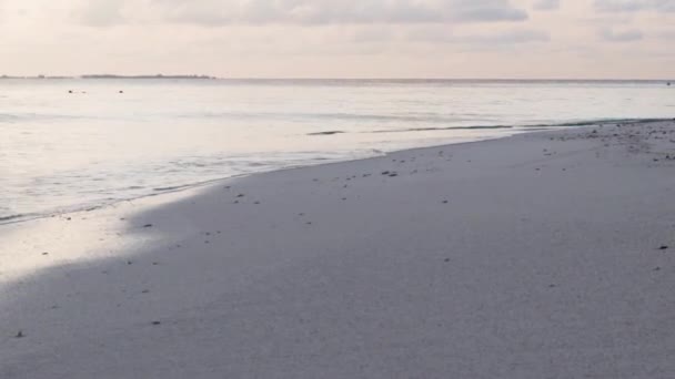 Bilder Vågorna Som Träffar Stranden Stranden Natur — Stockvideo