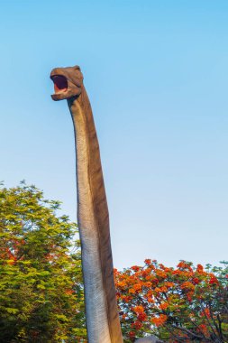 Dubai, BAE - 05.11.2021 - Dinozor parkında Austrosaurus kopyası sergisi.