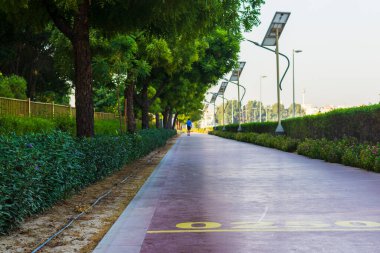 Orta yaşlı bir adam sabahın erken saatlerinde Nad Al Hamar parkında koşu pistinde yürüyor. Resimde güneş panellerinden güç alan lamba direği görülebilir.
