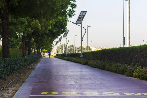 Мужчина Средних Лет Идущий Беговой Дорожке Парке Над Аль Хамар — стоковое фото