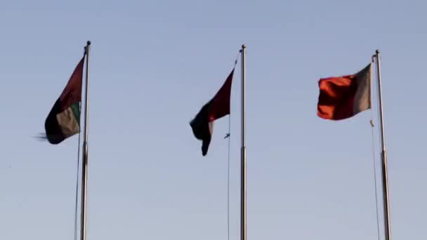 Dubai Uae 2021 Uae Flags Floating Red White Flag Blue — Stock Video