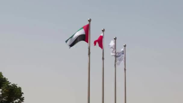 Flaggen Der Vereinigten Arabischen Emirate Mit Rot Weißer Flagge Und — Stockvideo