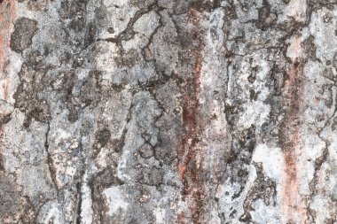 Pas ve çatlaklar ile doku duvar.