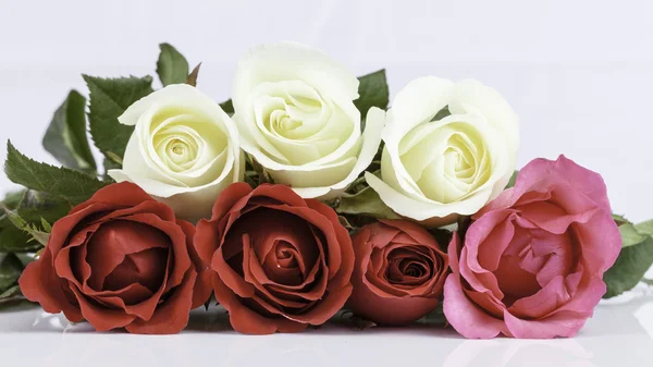 Piękny bukiet róż na białym tle — Zdjęcie stockowe