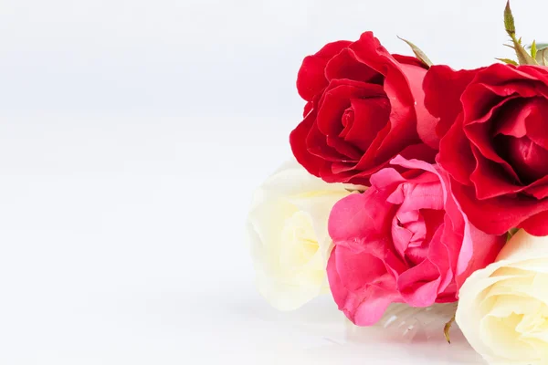 Vacker bukett rosor på vit bakgrund — Stockfoto
