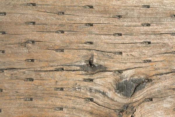 Struttura del legno — Foto Stock