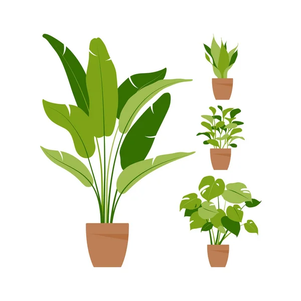 Collection home plants. Potted plants isolated on white. Vector set green tropical plants. Trendy home decor with indoor plants, planters, tropical leaves. Flat. — Stock Vector