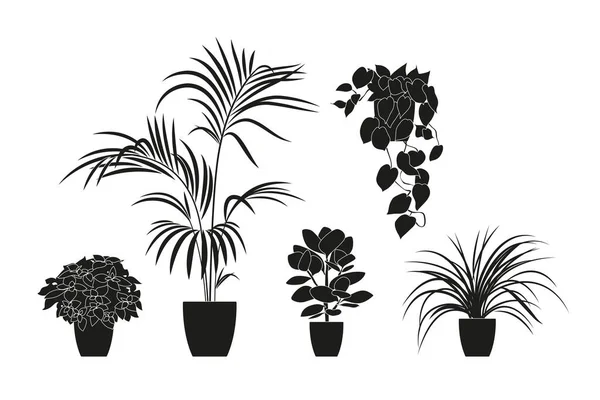 Collectie silhouetten van kamerplanten in zwarte kleur. Potplanten geïsoleerd op wit. groene tropische planten. trendy huisinrichting met binnenplanten, plantenbakken, tropische bladeren. — Stockvector