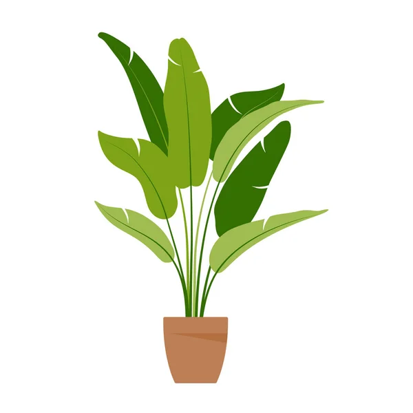 Woonplant. Potplant geïsoleerd op wit. Vlak. Vectorillustratie. — Stockvector