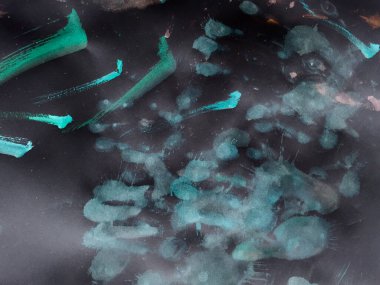 Fırça darbesi şablonu. Yeşil Fırça Mürekkep Pankartı. Japon Graffiti Fırça darbeleri. Arkaplan Fırça Darbesi Şablonu. Çocuksu yeşil boya fırçası. Mavi. Siyah Üzerine.