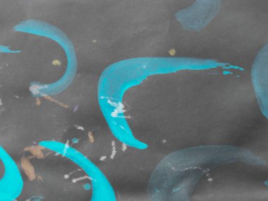 Fırça darbesi şablonu. Canlı Kirli Çizgiler Sanatı. Asyalı Grungy Fırça darbeleri. Arkaplan Fırça Darbesi Şablonu. Sanatsal Kara Fırça. Mavi. Siyah Üzerine.